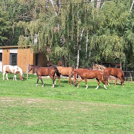 Krmelec S Virivkou U Danci Obory A Konskeho Vybehu Ferienhaus